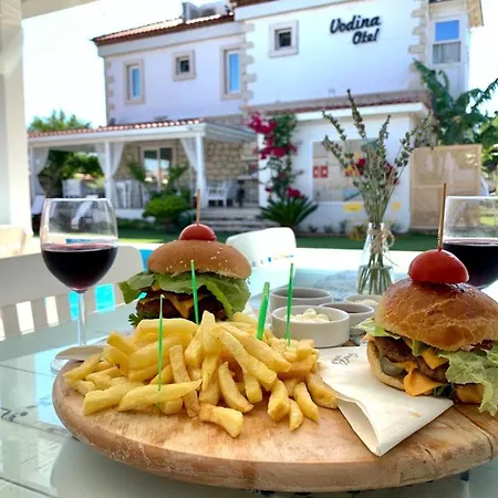 Vodina Hotel 2*