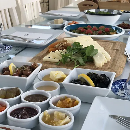 Vodina فندق