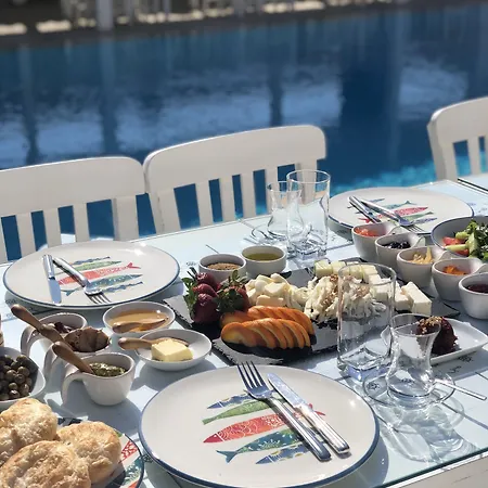 Vodina ألاتشاتي