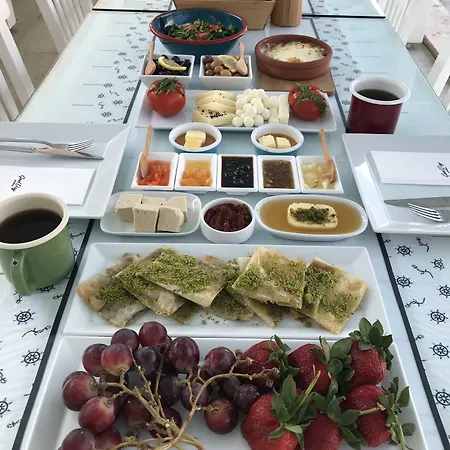 Vodina فندق